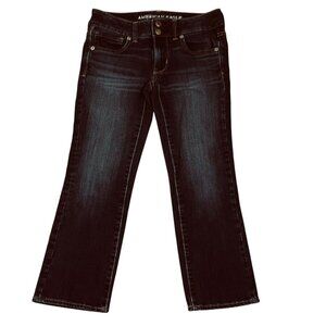 American Eagle Outfitters Women's Jeans Size 2 Artist Crop Straight Blue Denim
